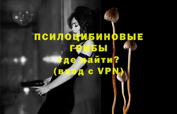 эйфоретик Грязи