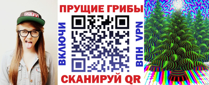 купить закладку  Лосино-Петровский  OMG вход  Псилоцибиновые грибы ЛСД 